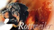 Rottweiler Logo