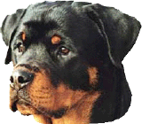 Rottweiler Logo